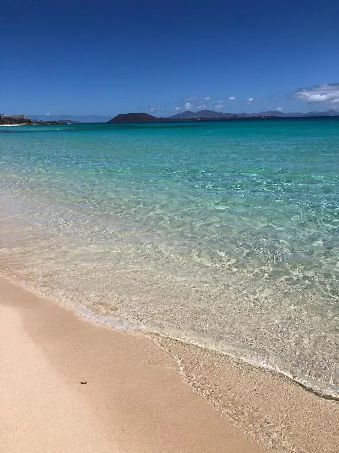 Casa Papagayo Paradise 科拉雷侯